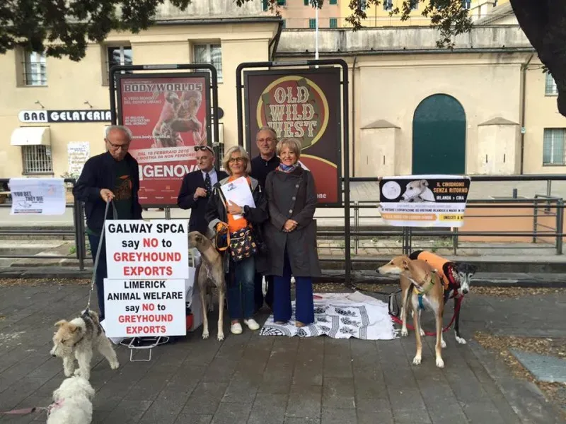 13346652 1038859946197860 7299273797071407814 n 1