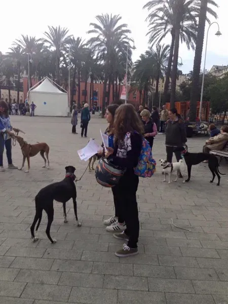 13346656 1038860139531174 8090357659742095214 n 1