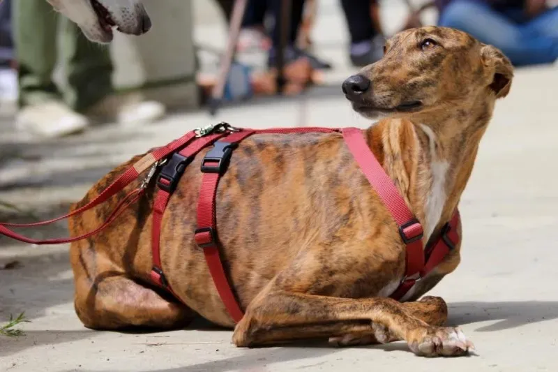 13346673 1040592289357959 6384986805008568603 n