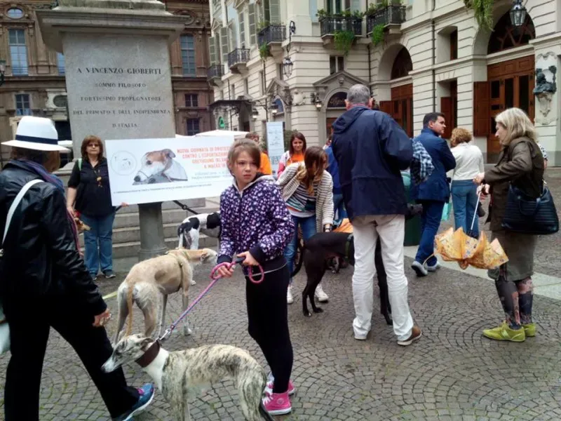 13346683 1038708966212958 8453229164533576839 n 1