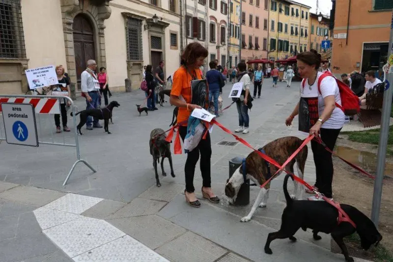 13346699 1040694609347727 580418822244307864 n