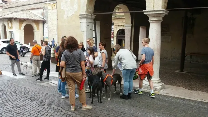 13346773 1040353496048505 2647416820326854374 n