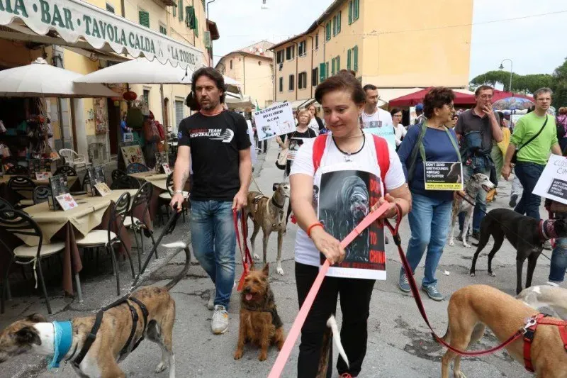 13346788 1040684342682087 5263022347058627203 n