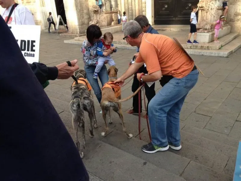 13346813 1038850759532112 7012997842418276050 n 1