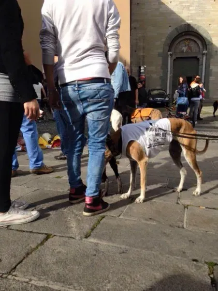 13346816 1038713936212461 3533760257111816939 n