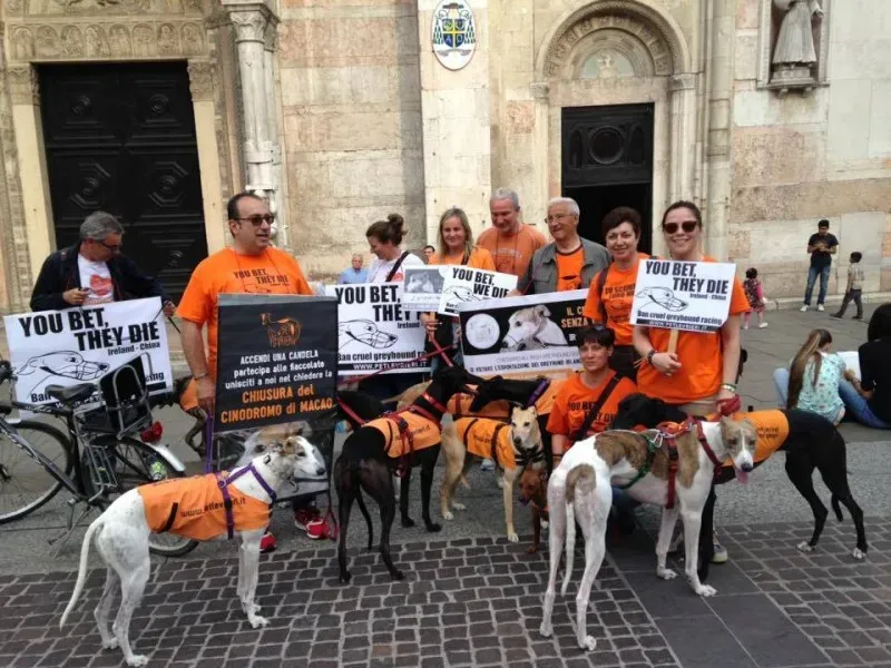 13346818 1038850499532138 7294167745226556453 n 1