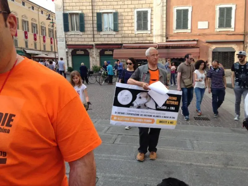 13346824 1038850652865456 1878667434481532389 n 1