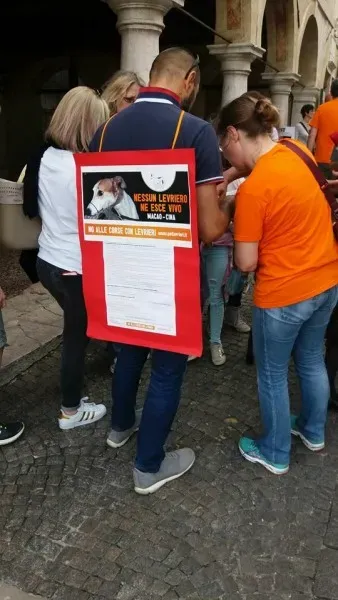 13346848 1040353529381835 8784793335312474040 n