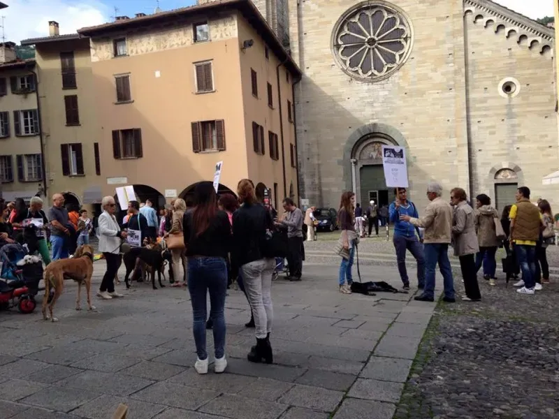 13346857 1038713779545810 5058428976670797984 n