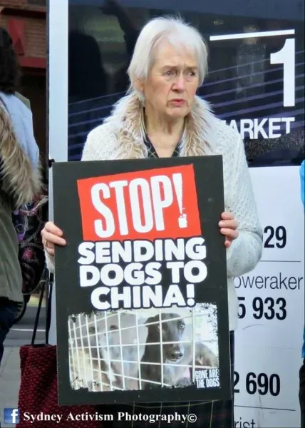 13346861 1781623825457383 8406506898249625076 n