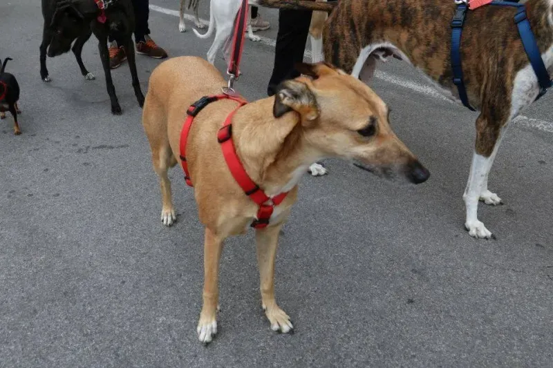 13346903 1040694956014359 6626408038703256057 n