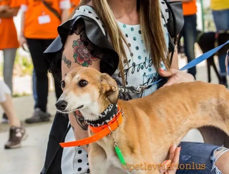 13346955 1036433983107123 3707378943555556893 n