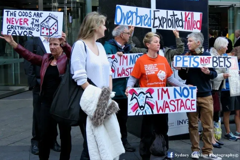 13350325 1781623732124059 605292809400008477 o