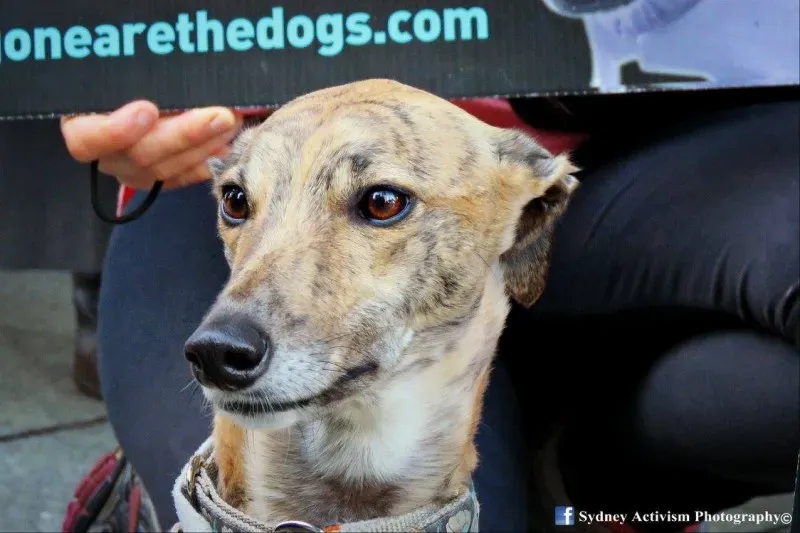 13350497 1781623938790705 8777413816348760440 o