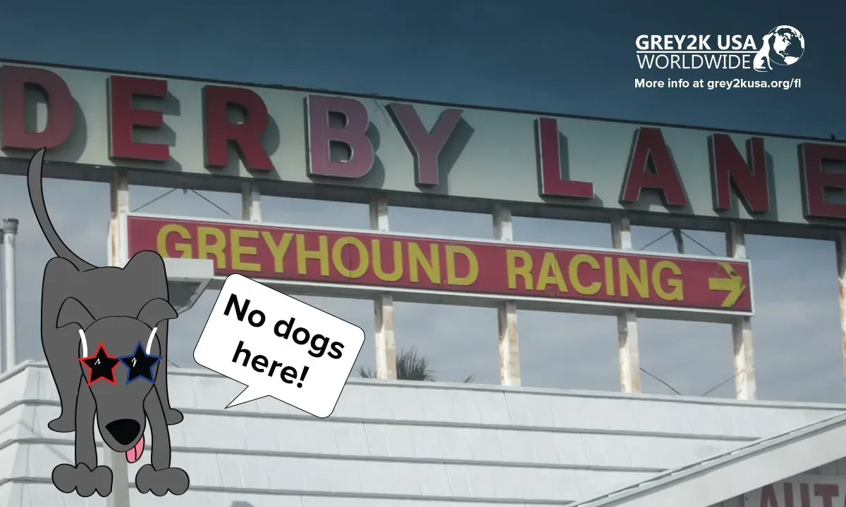 133714471 10157815002753354 4426517362572662730 o