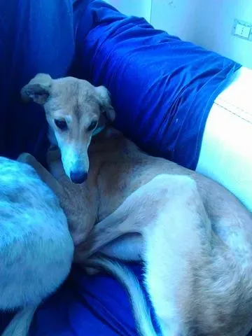 13382110 1121204774566569 878382784 n