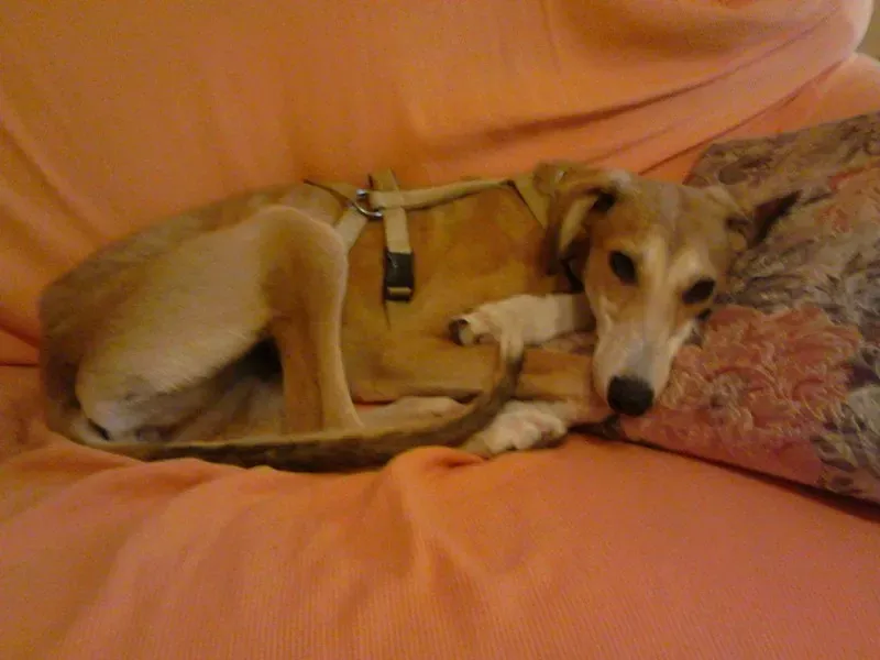 13383535 1121204677899912 77319355 o