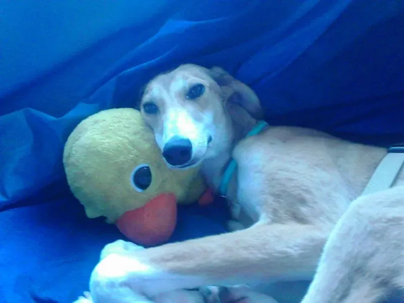 13389244 1121204941233219 1897414162 o