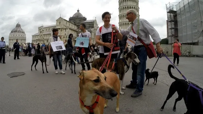 13391583 1040691859348002 2455332274842468349 o