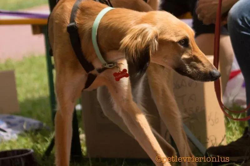 13392009 10208730072076546 8749517191932256161 o