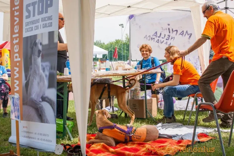 13392153 10208730083156823 2106557235130422661 o