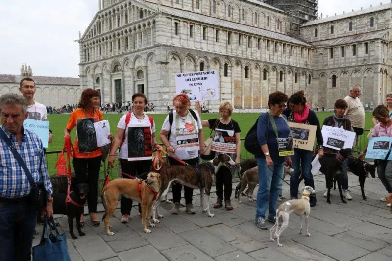 13393959 1040686766015178 6621631144056290755 n