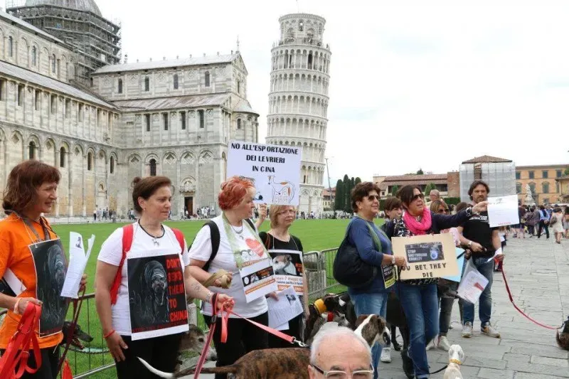 13393962 1040687619348426 4775942255317639454 n