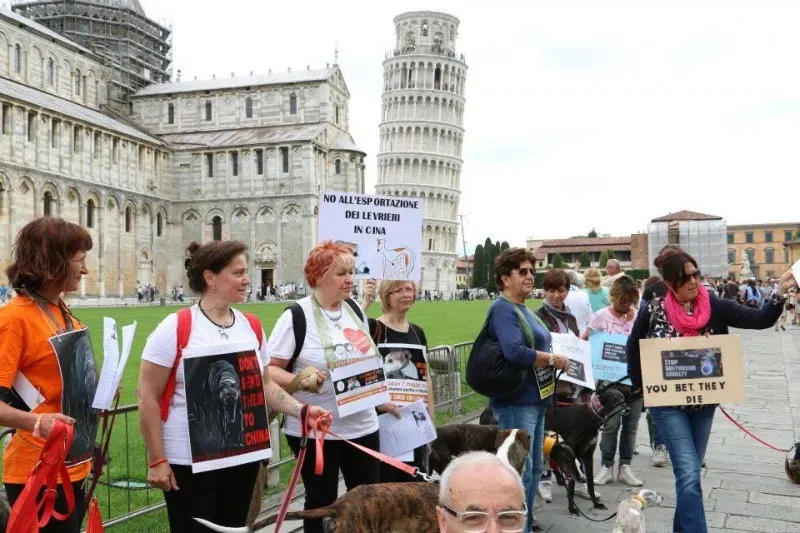 13393984 1040688026015052 7830258682644512611 n