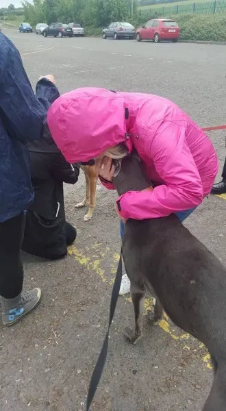 13394024 10208439696283525 8852431521417176796 n