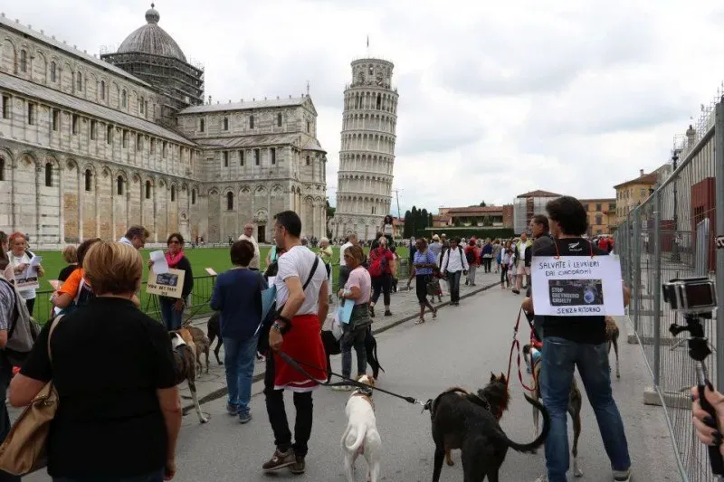 13394047 1040686909348497 7333633766714929437 n