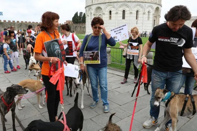 13394051 1040689282681593 2239303449267330839 n