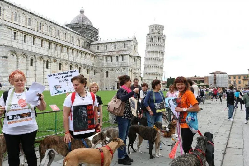 13394163 1040688829348305 8387386465962274761 n