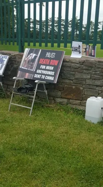 13394185 10208439697083545 7225171168073286645 n