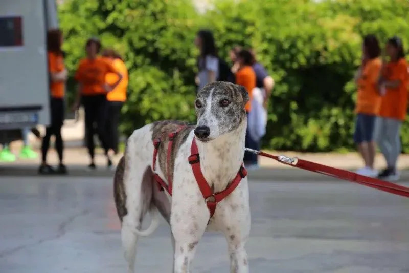 13394185 10210057576304236 1228310770694275751 n