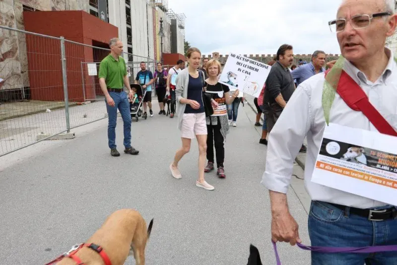 13394194 1040689859348202 1783202372156745297 n