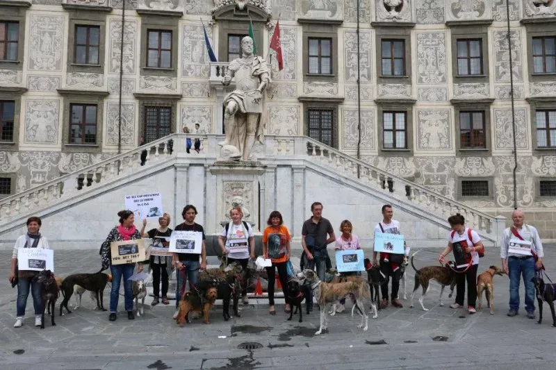 13394201 1040696506014204 1770987378582155324 n