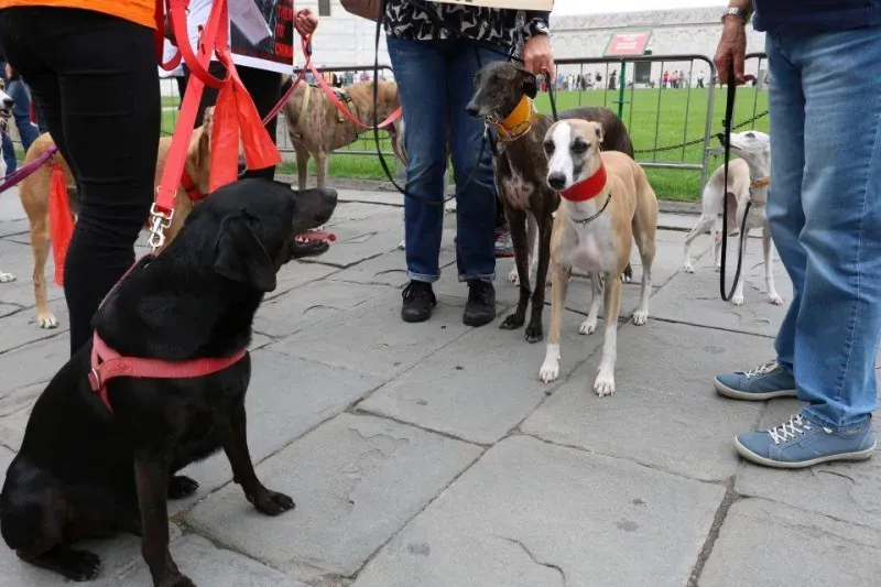 13394212 1040688962681625 2415922820749553437 n