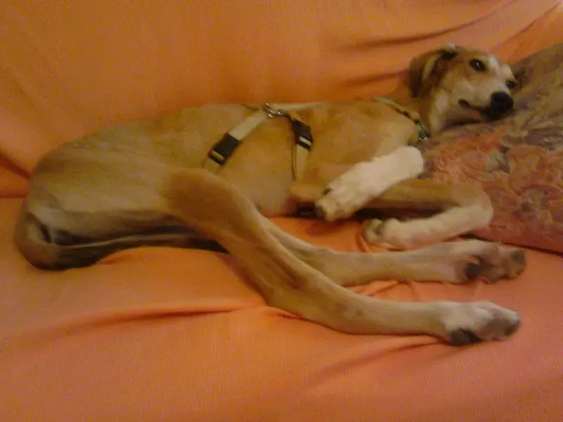 13396565 1121204644566582 1258890779 o