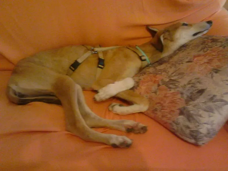 13396642 1121204654566581 2068256021 o