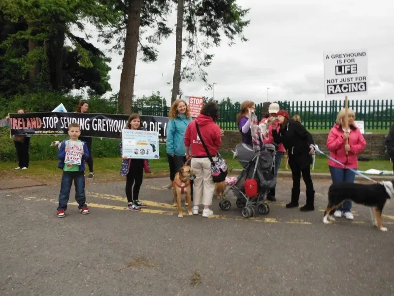 13403102 10154268124253249 7257237979007611597 o