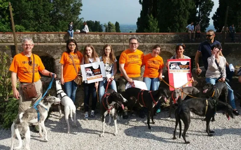 13403748 1040352796048575 6808209214673279179 o