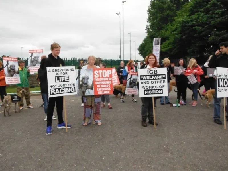 13403793 10154268124078249 240051974145833497 o