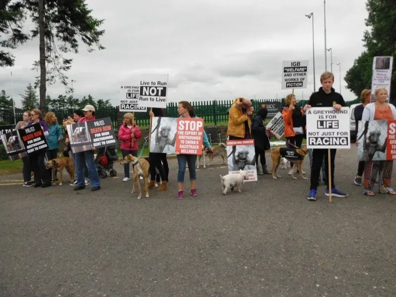 13403841 10154268124933249 3203395086003528166 o