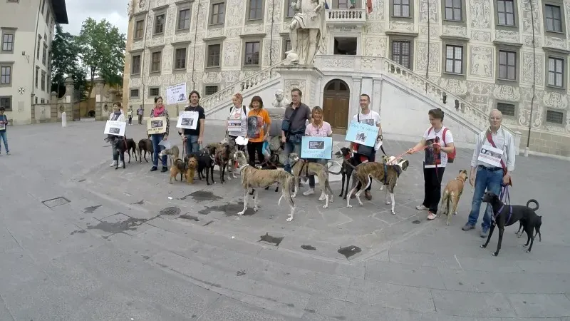 13404038 1040683559348832 2028851233524118839 o