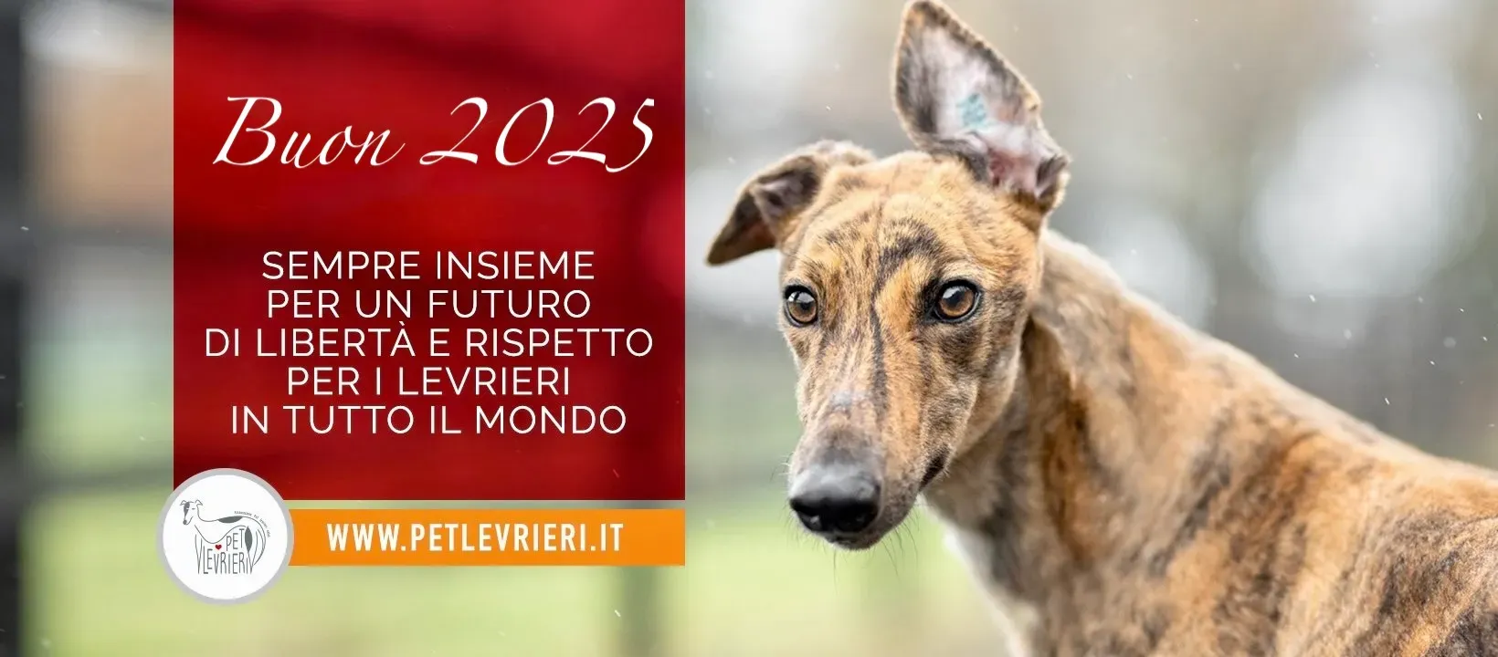 134064009 3629625813787914 6674070483170045367 n 2