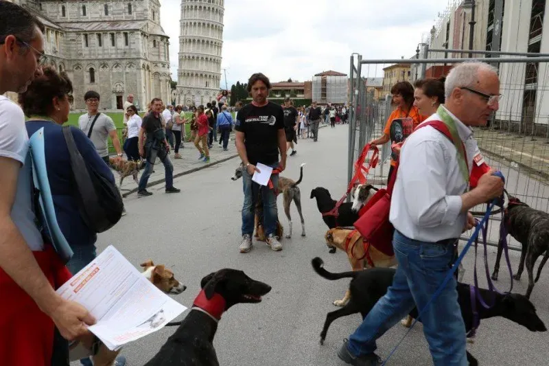 13406713 1040685169348671 1144246534124557443 n