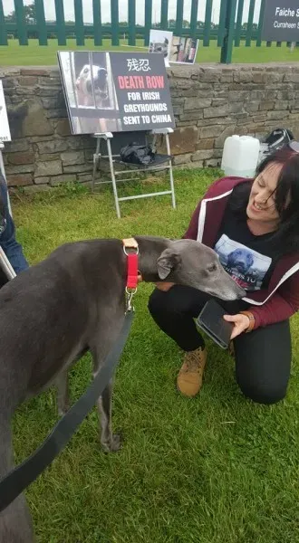 13406728 10208439710203873 3536335886024815523 n