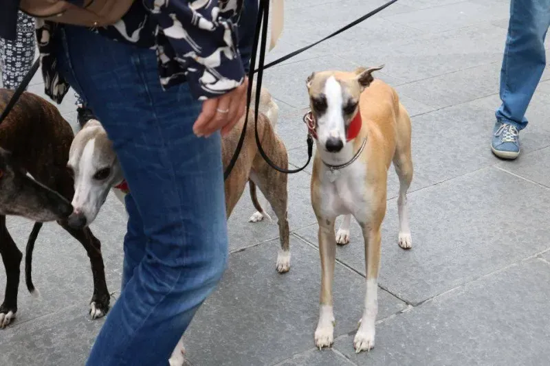 13406742 1040694412681080 2269500917044208960 n