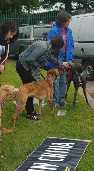 13406773 10208439695443504 7295601630504146719 n