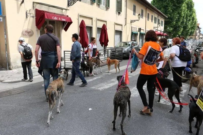 13406784 1040699136013941 6972790405004152327 n